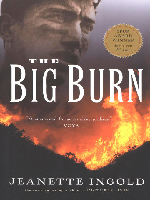 Title details for The Big Burn by Jeanette Ingold - Available